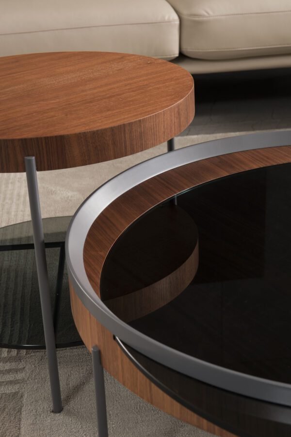 C227+C244 (4) Elegant Luxury Round Glass Tray Coffee Table C244