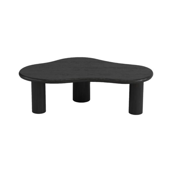 Minimalist Irregular Special Cloud Shape Coffee Table C293