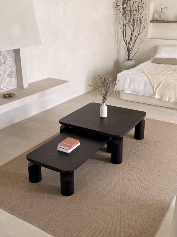 IMG_2932 Nordic Minimalist Coffee Tables Set C303