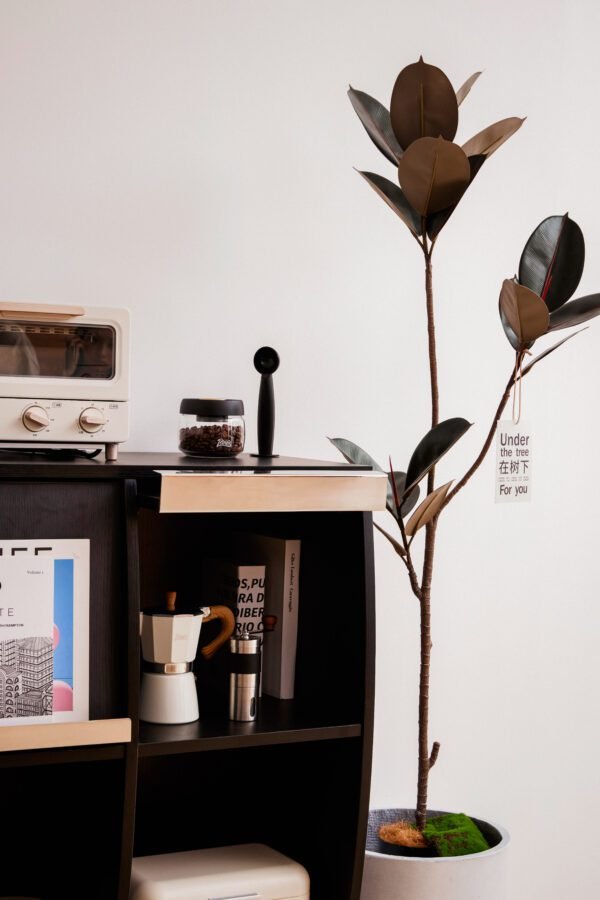 LXWH19790 Minimalist Multi-Functional Wooden Storage Cabinet HE3709
