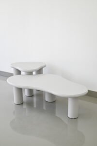 Minimalist Irregular Special Cloud Shape Coffee Table C293