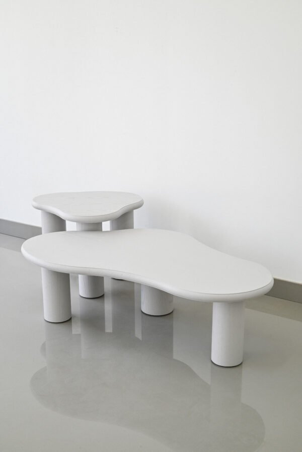 Minimalist Irregular Special Cloud Shape Coffee Table C293