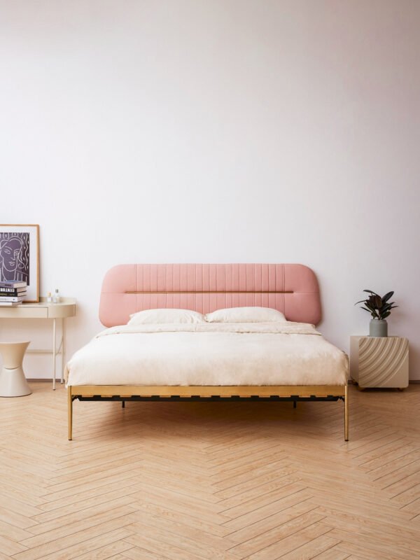 LXWH19518 Metal Princess Double Bed HE6593