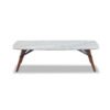 Modern Sintered Stone Coffee Table C236