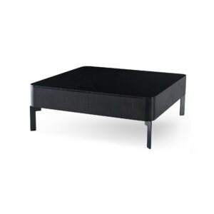 Modern Designer Square Coffee Table C264