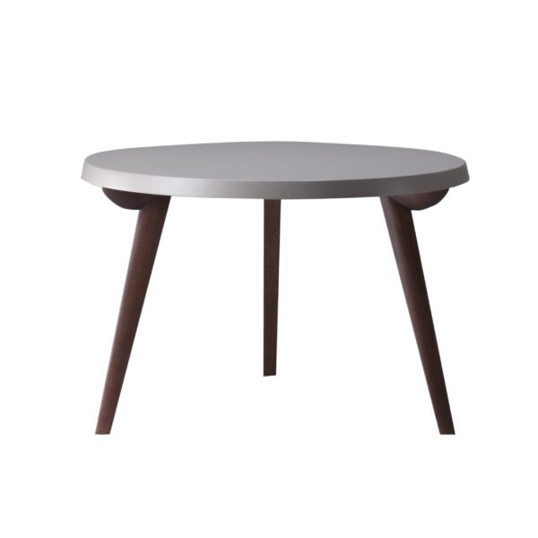 微信图片_20251014162620_131_27 Classic Wooden Coffee Table C194