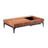 Modern Designer Wooden Storage Coffee Table C237