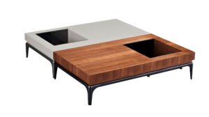 Modern Designer Wooden Storage Coffee Table C237