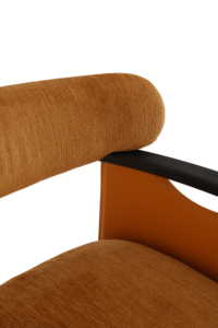 Modern Occasional Chair B962