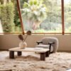 Mineral Coating Coffee Table C320,C321
